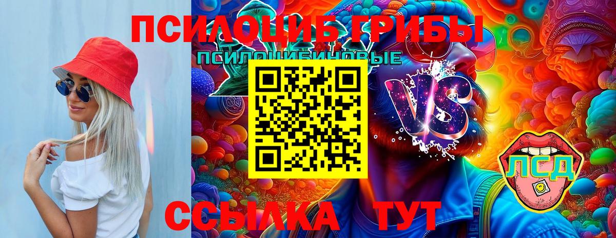 Ростов-на-Дону  Галлюциногенные грибы Psilocybe  Вход с VPN 