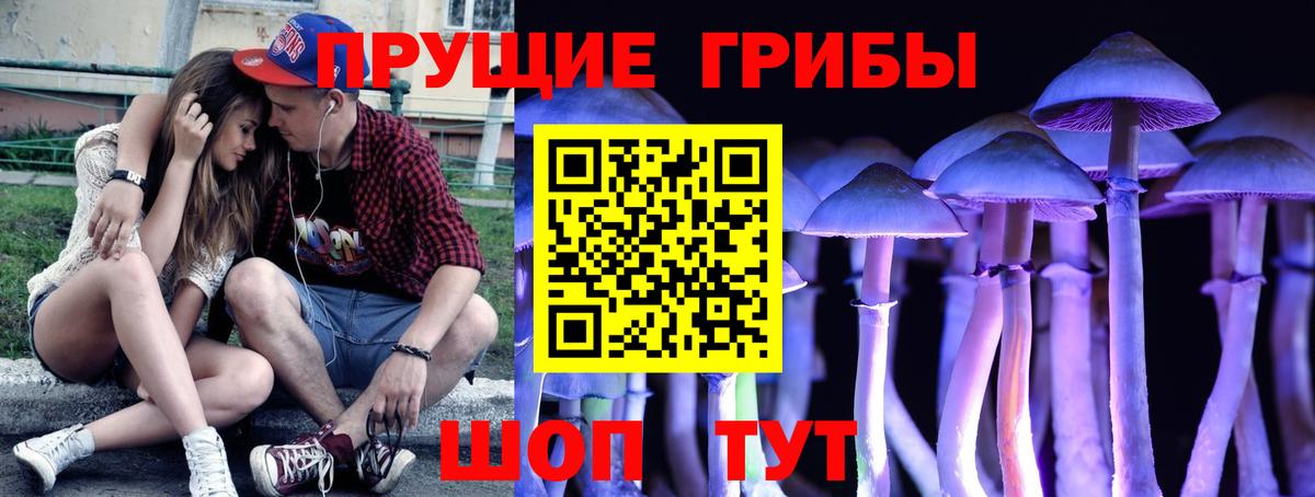 Псилоцибиновые грибы мухоморы Ростов-на-Дону